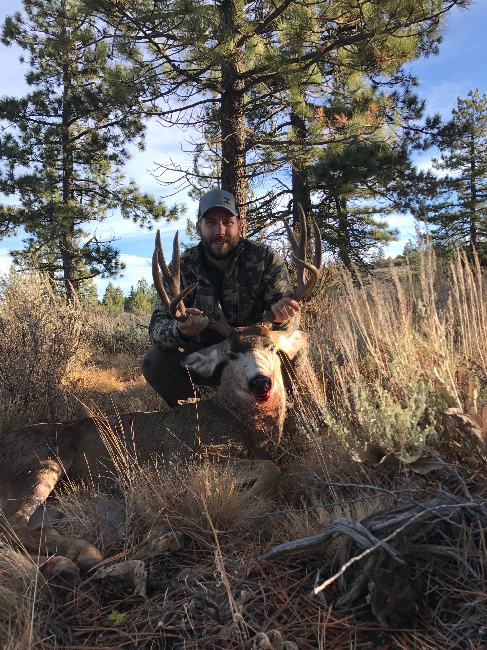 Hunter kneeling behind a harvested mule deer buck, holding up the antlers in a pine and sagebrush landscape